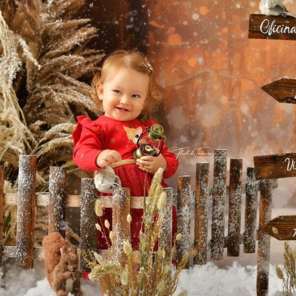 Sessão fotográfica Natal 2025